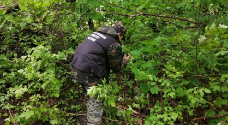 Пензенские следователи рассказали подробности убийства девочки