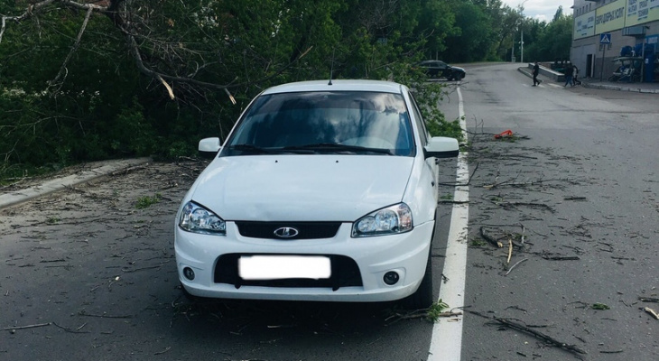 В Пензе упавшее дерево накрыло проезжавший автомобиль