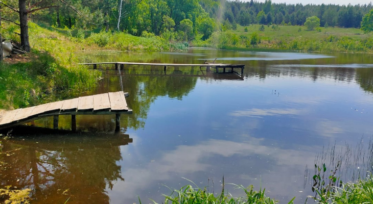 Пензенские следователи начали проверку по факту гибели мужчины в водоёме