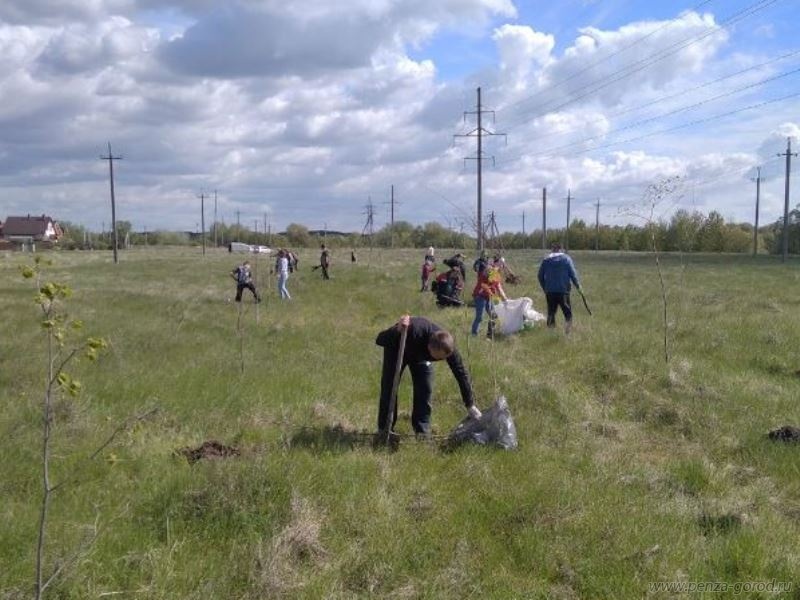 Пензенцы приняли участие в экологической акции