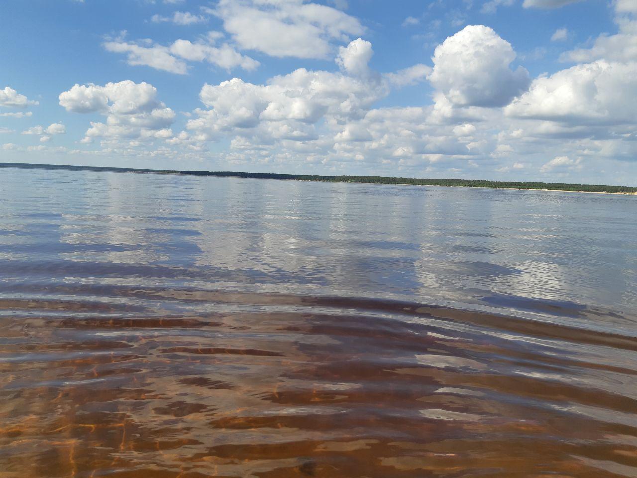 В ряде регионов Поволжья ожидаются заморозки