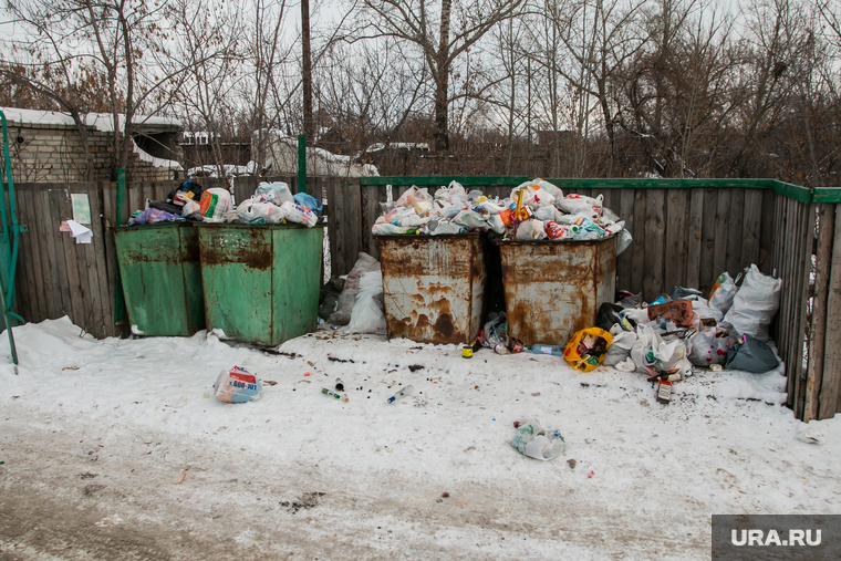 Фото бомжа в мусорке