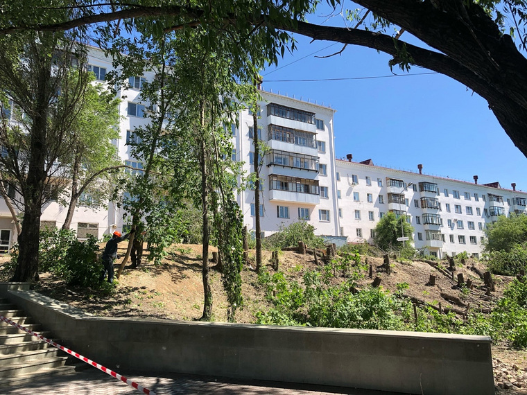 В Кургане возле главного парка массово вырубают деревья. ФОТО, ВИДЕО