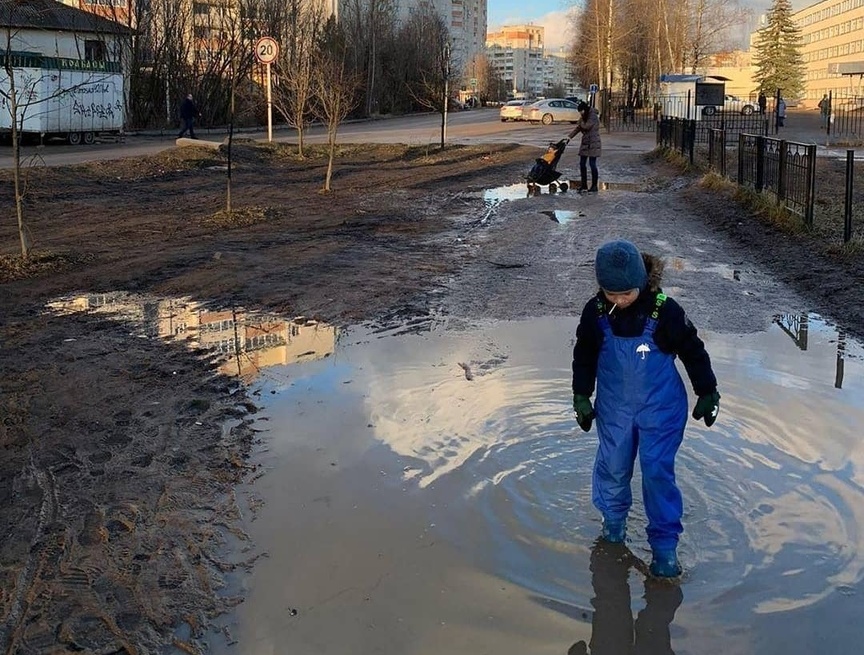 Смоляне жалуются на грязь на тротуарах