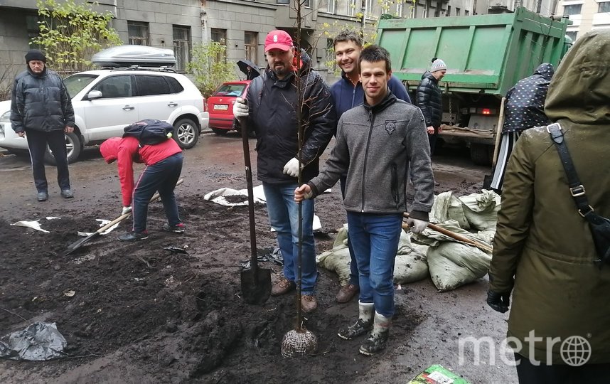 Петербуржцам не разрешили сажать деревья на улицах