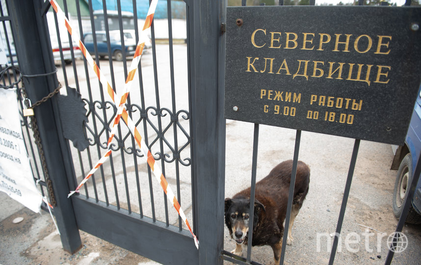 Северное кладбище в Петербурге закрыто для посещения