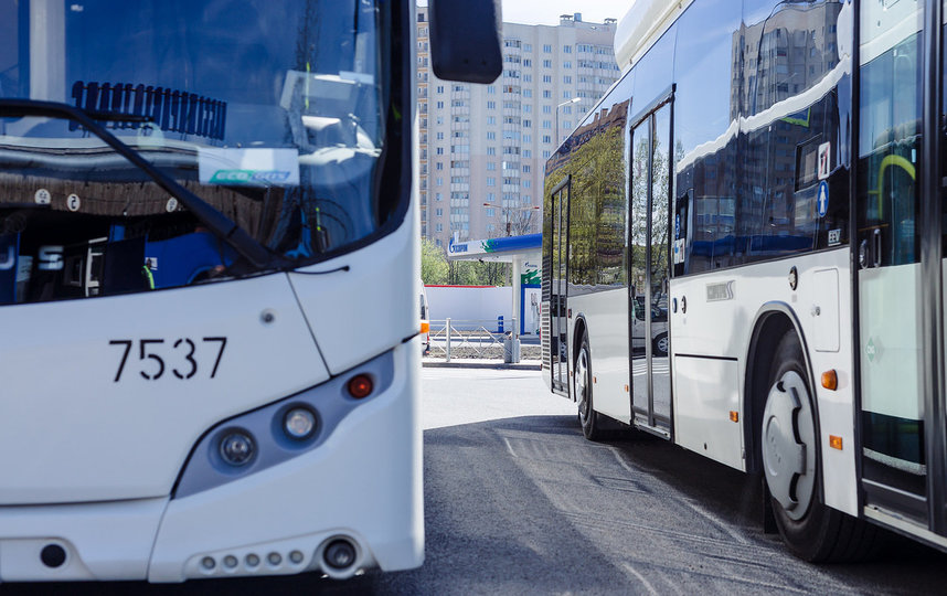 Какие автобусные маршруты в Петербурге усилят с 16 апреля