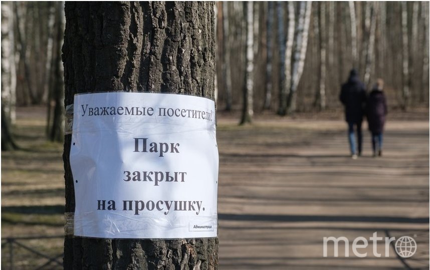 В майские праздники в парках Петербурга пройдут рейды: горожане должны оставаться дома