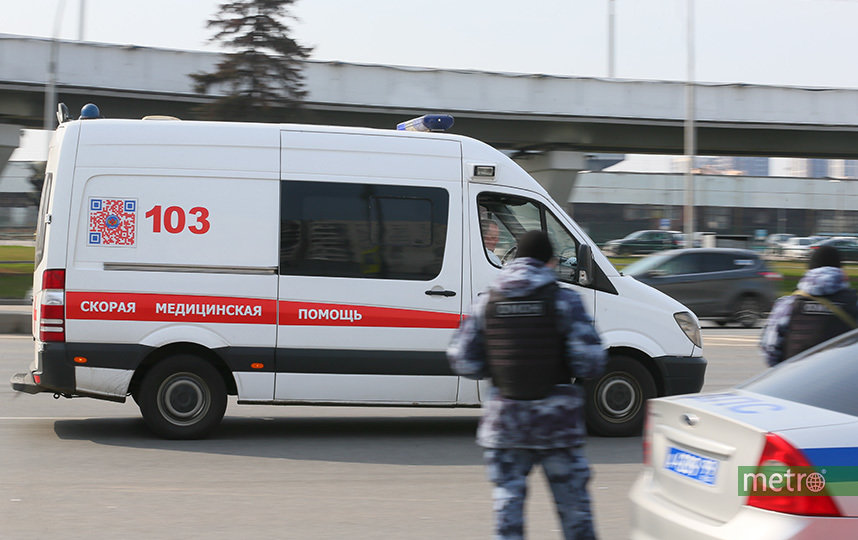 В Подмосковье алабай набросился на девочку и покусал её лицо