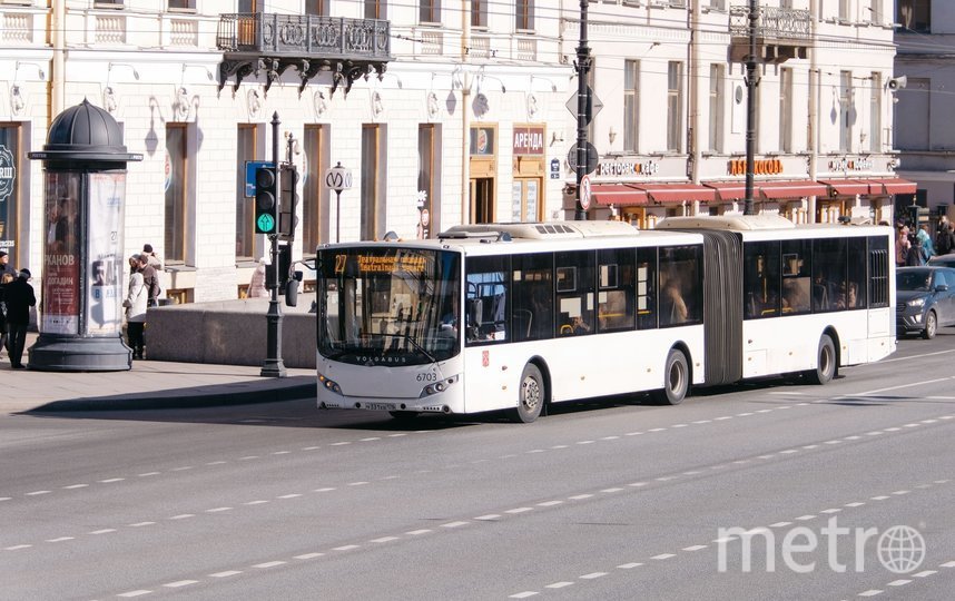 Какие автобусы вернутся к работе в Петербурге: полный список