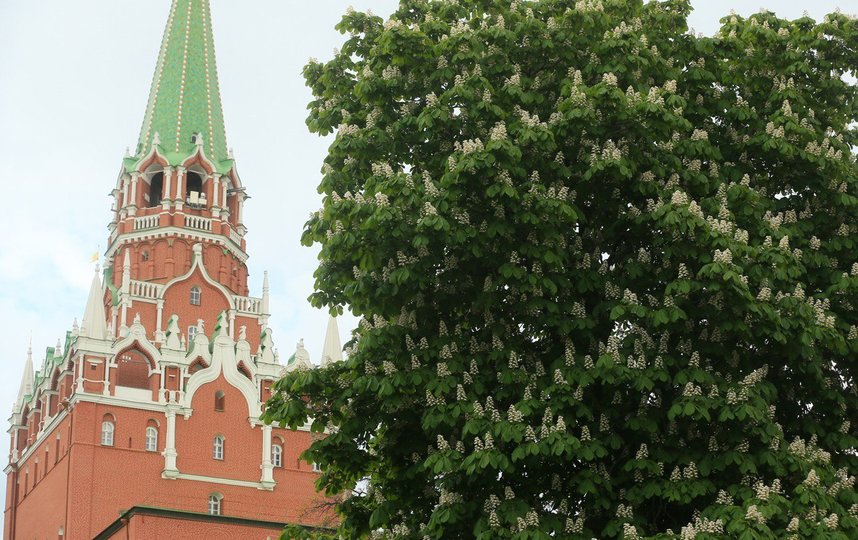 Кремль: озвучен примерный срок отмены ограничений в Москве