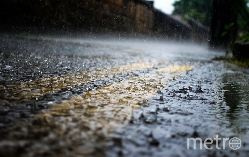 В Москве из-за сильного ветра упали больше 30 деревьев