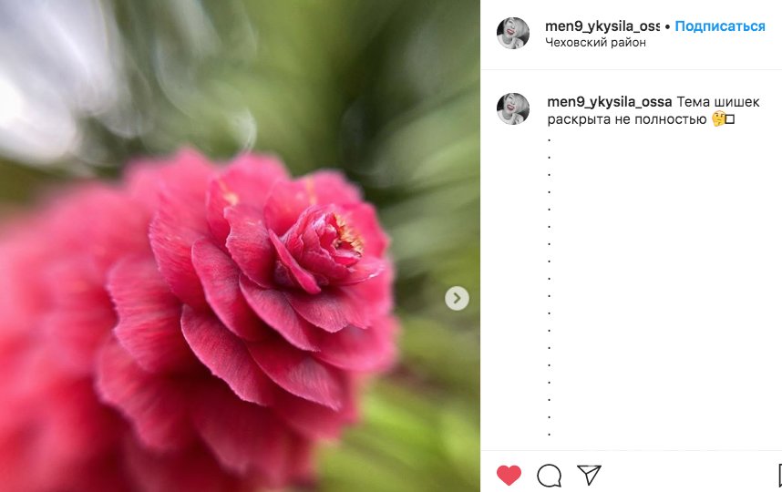 Цветущие сосны и ели восхищают пользователей Instagram по всей России