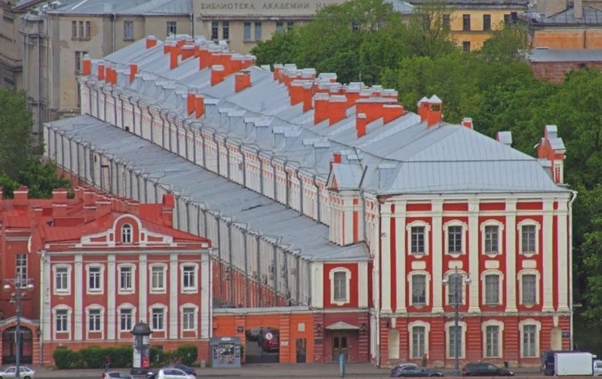 СПбГУ рассказал, какие онлайн-курсы выбирали петербуржцы во время пандемии чаще всего