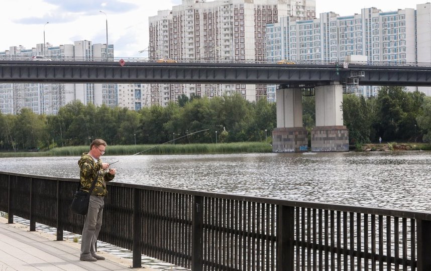 Коронавирус, данные на 3 августа: число новых случаев за последний месяц на 45% меньше