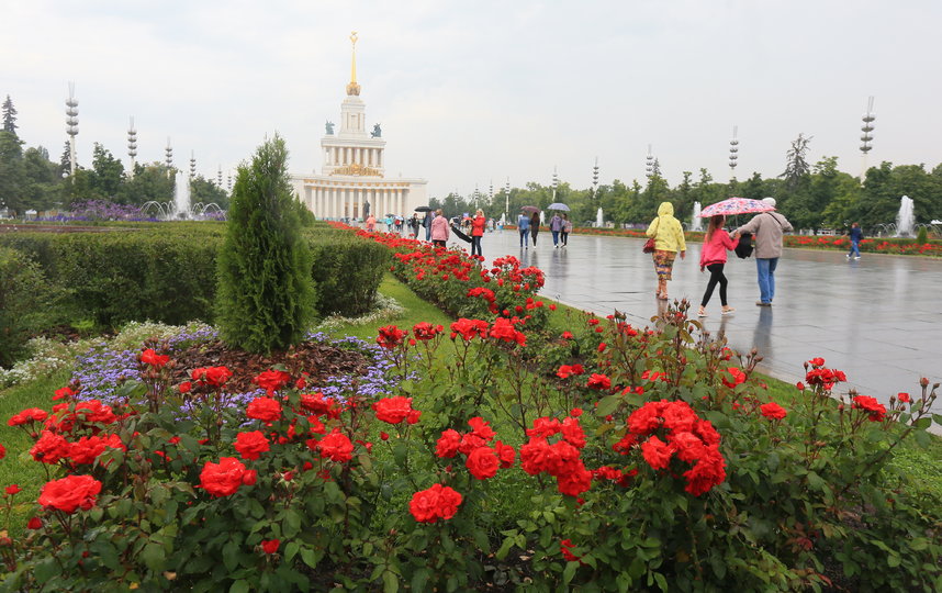 Пять активностей фестиваля 'Цветы fest' в Москве