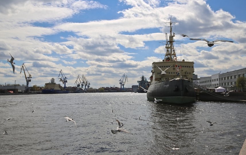 Петербуржцы смогут посмотреть вальс буксиров и научиться изготавливать морскую оснастку