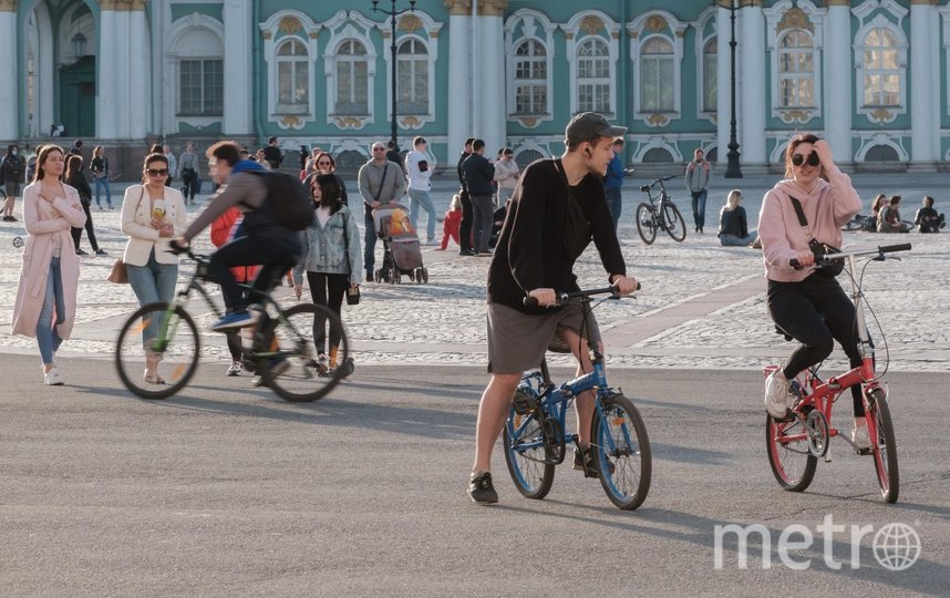 Новые веломаршруты в Петербурге появятся вдоль Ладожского парка и реки Оккервиль