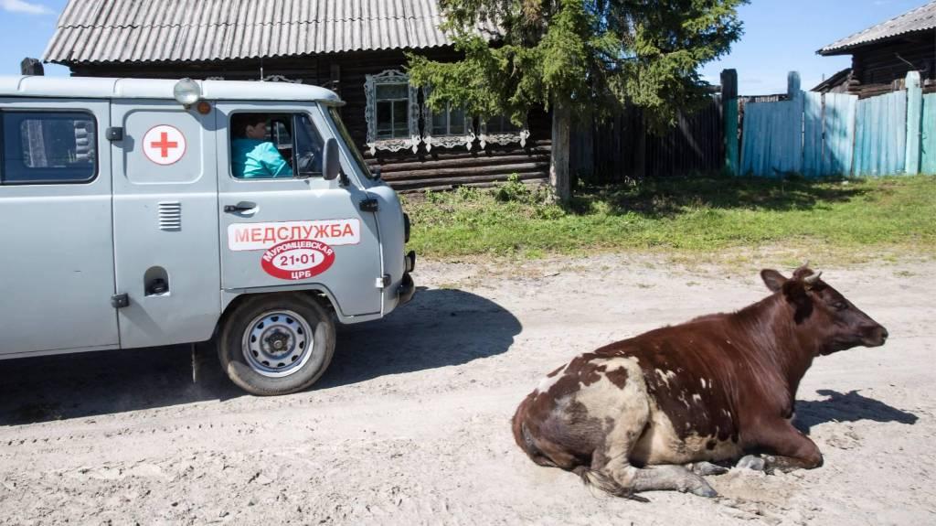 Продуктовые карты, казачьи патрули и мёд. Как сражаются с коронавирусом в глубинке