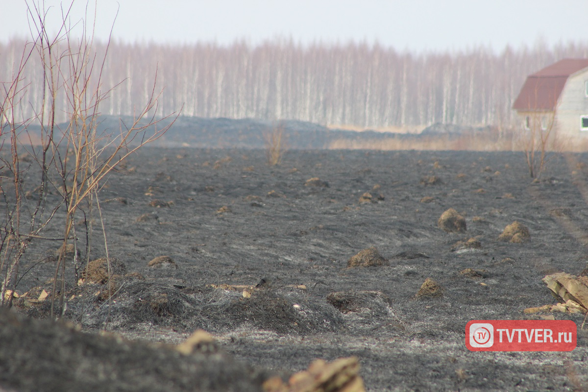 Более 40 раз за сутки пожарные тушили сухую траву в Тверской области