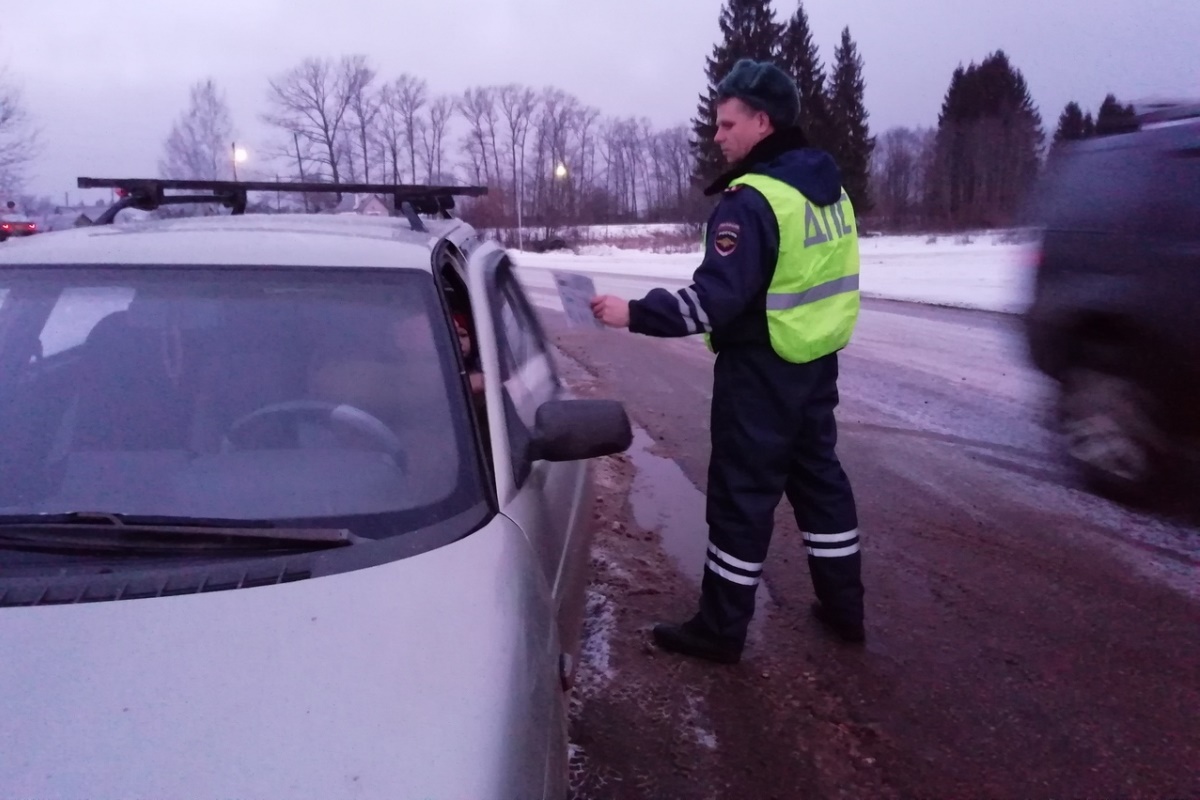 В Андреаполе сотрудники ГИБДД призывали водителей «пристегнуть самое дорогое»