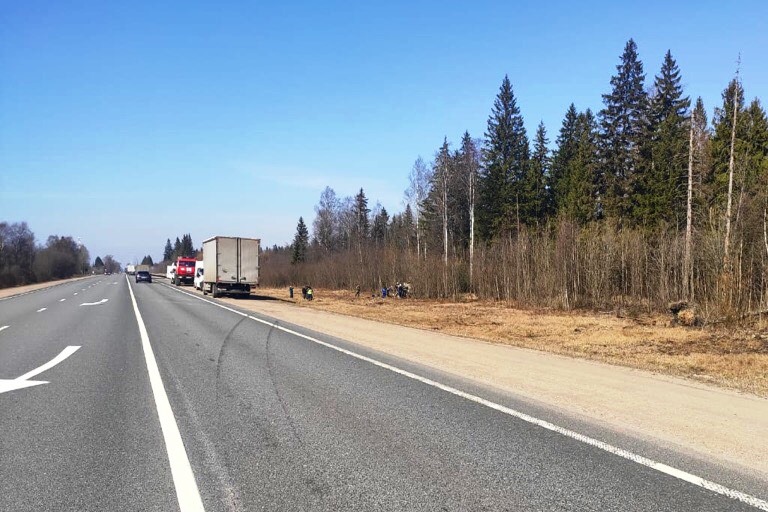 На трассе М-10 в Тверской области автомобиль вылетел в кювет и врезался в дерево