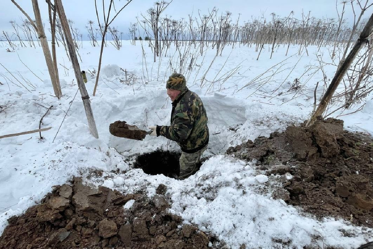 Останки восьми красноармейцев обнаружили в Тверской области