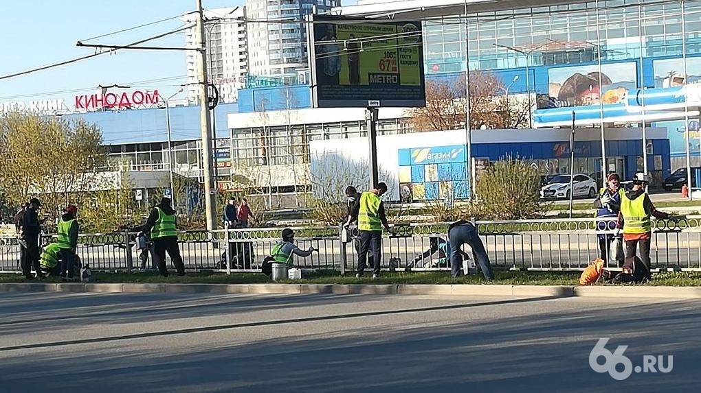 Фото дня: десять рабочих вплотную друг к другу красят забор, забыв про социальную дистанцию