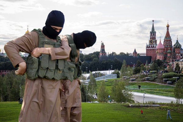 «Малобюджетный террор». Треть россиян воевавших за ИГИЛ* вернулись домой