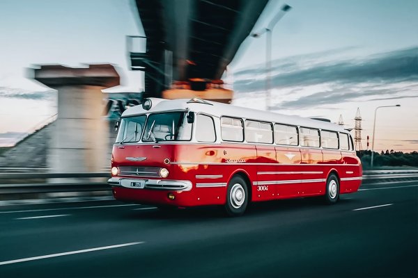 «Роскошная яхта в мире автобусов»: Сеть восхитил «венгерский Феррари» Ikarus 55