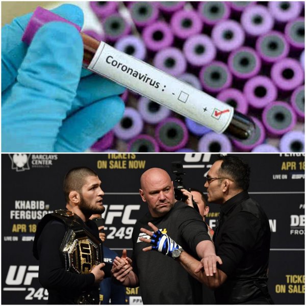 Covid-19 уже в UFC? Уайт отменит бой Хабиба с Фергюсоном по приказу прокуратуры США