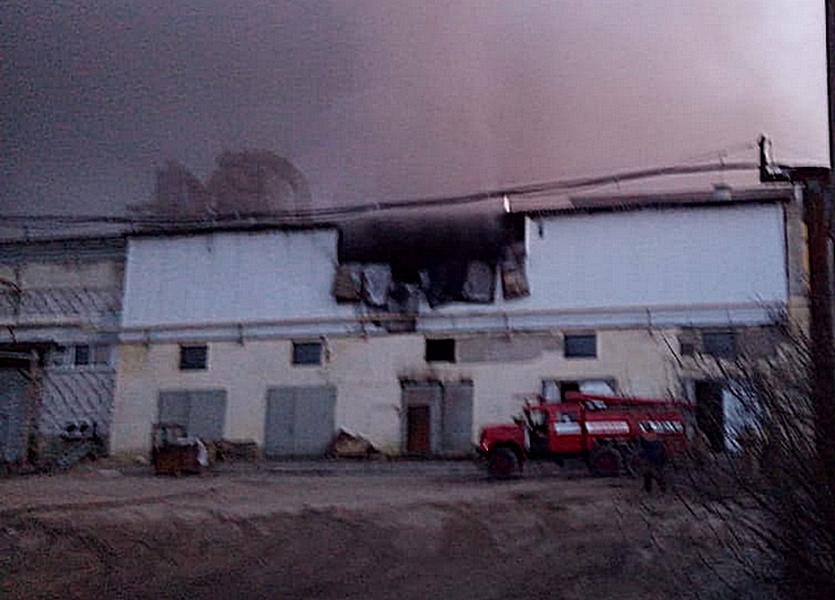 Фото: Завод древесных плит полыхает под Пензой