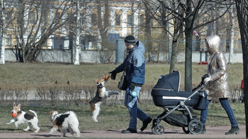 Тест: Хорошо ли вы соблюдаете режим самоизоляции?