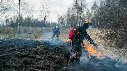 У «Гринписа» все выгорело // Эксперты впервые пересчитали природные пожары в России