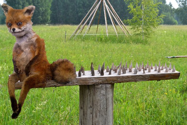 Побрызгать на ветки кровью... Как спецназ охотится на зверей при помощи хитрых ловушек