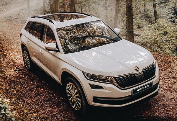 Современные опции для современного водителя: Названы 10 «фишек» Skoda Kodiaq – «немцы» и «японцы» позавидуют