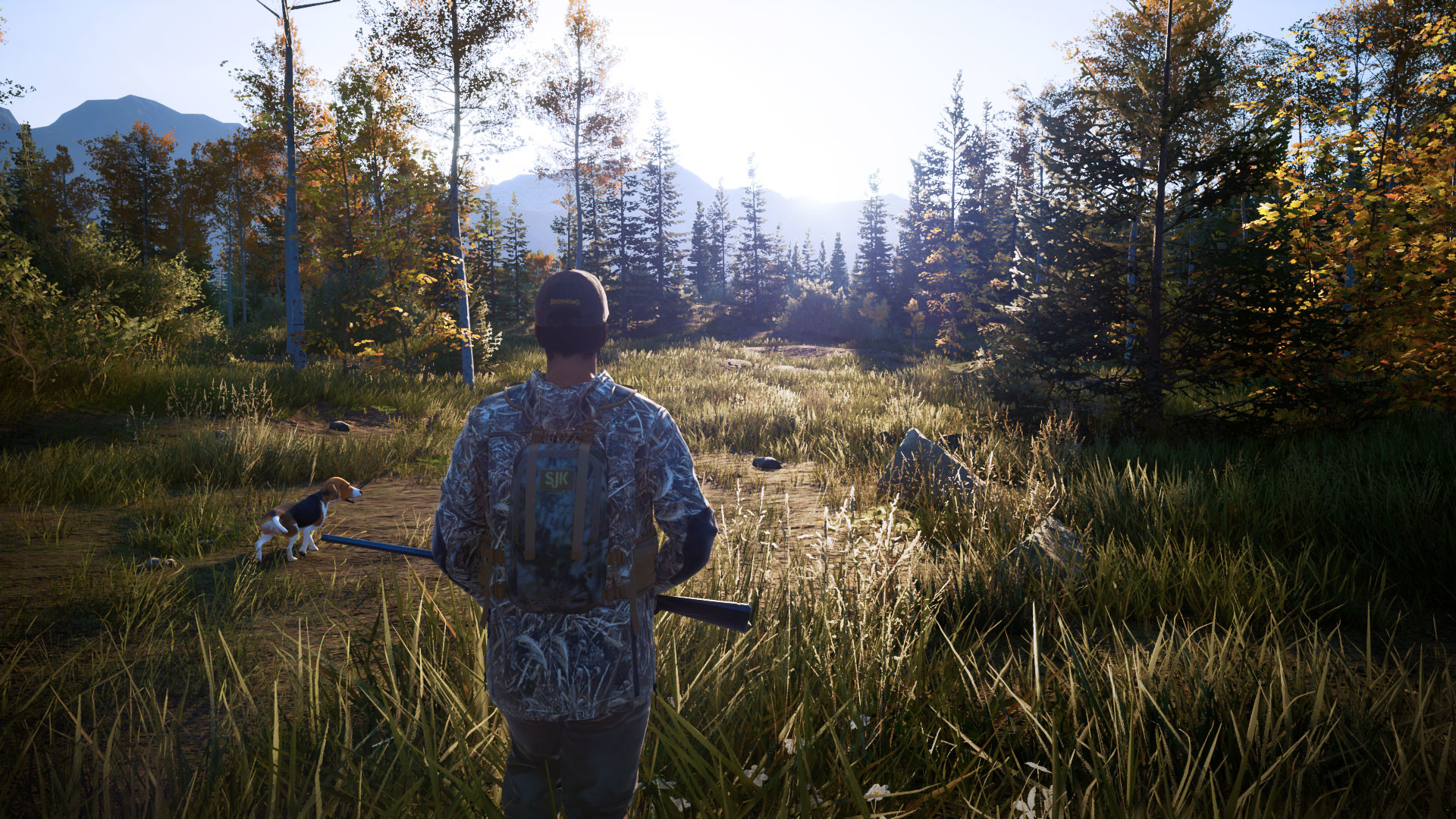 Видео: красоты дикой природы, локации и животные в трейлере Hunting Simulator 2