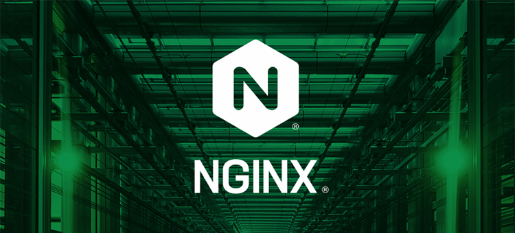 Спор за права на веб-сервер Nginx, созданный бывшими работниками Rambler, вышел за пределы России