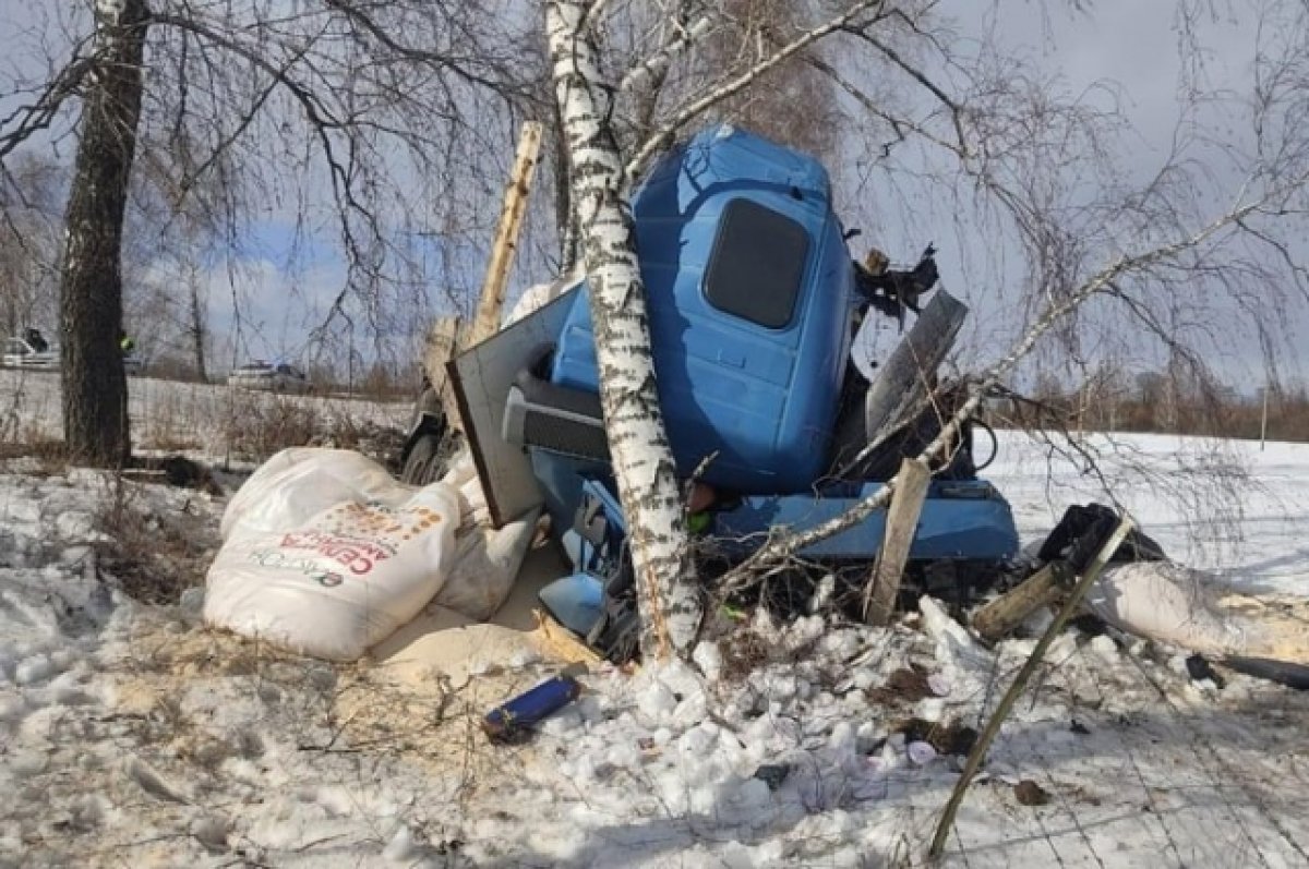 Водитель грузового «Мерседеса» врезался в дерево в Почепском районе