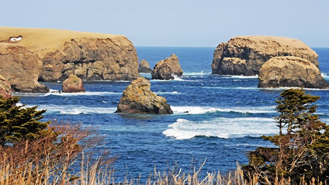 Hokkaido Shimbun (Япония): «Наша линия в мирных переговорах с Россией должна быть такой: сначала решение «территориальной проблемы», и лишь потом - мирный договор»