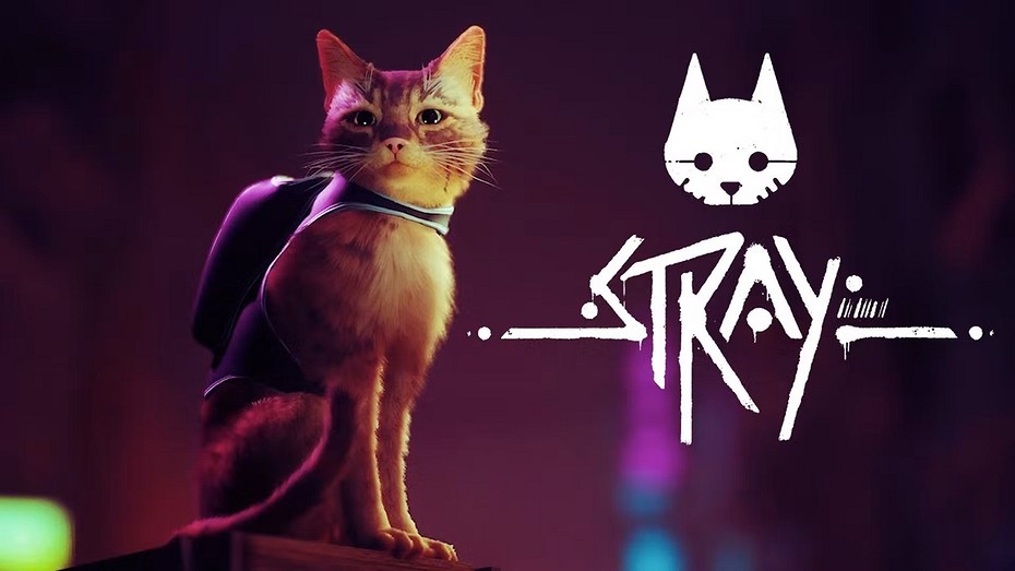 Симулятор кота Stray стал самой высокооцененной игрой в Steam в этом году