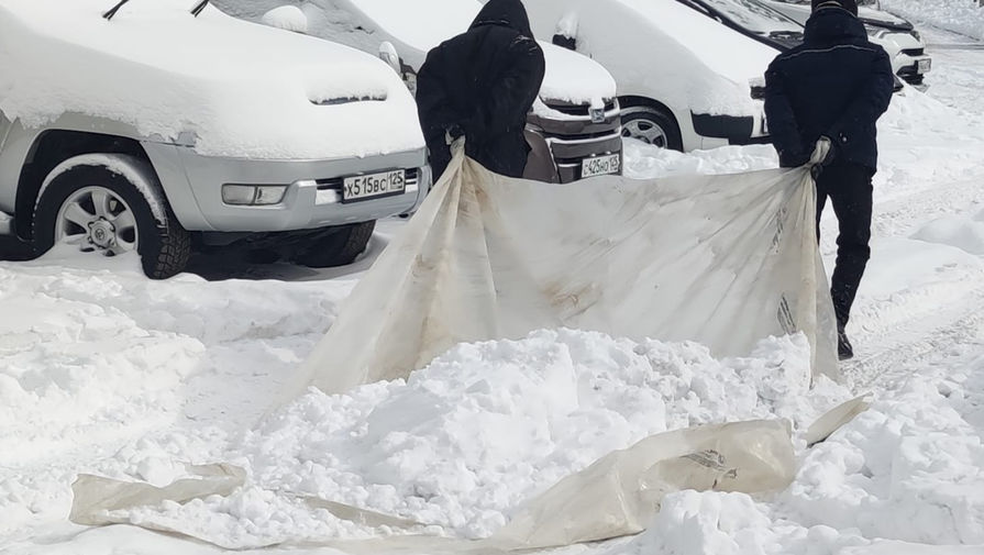 Свыше 1,5 тысячи жилых домов в Хабаровском крае остались без света из-за снега