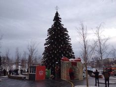 В ночь на 1 февраля на улицах Москвы начнут убирать новогодние ели