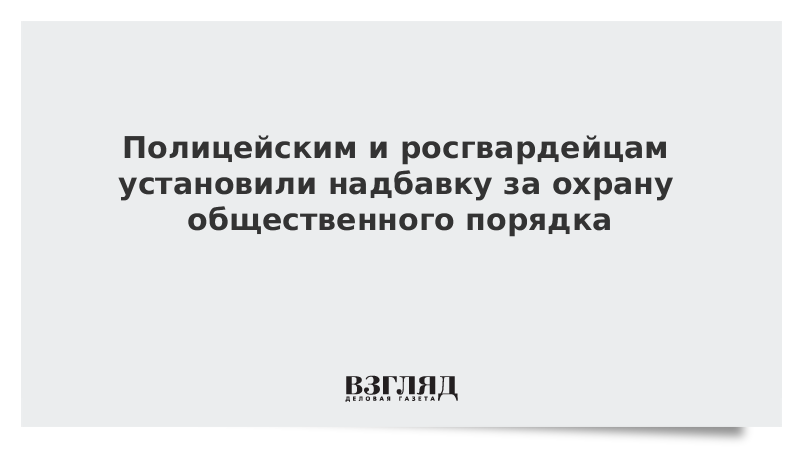 Полицейским и росгвардейцам установили надбавку за охрану общественного порядка