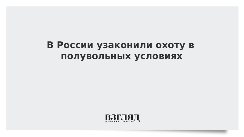 В России узаконили охоту в полувольных условиях