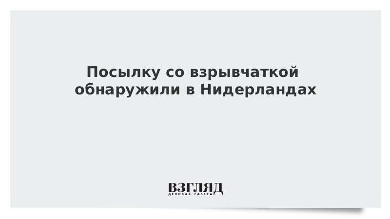 Посылку со взрывчаткой обнаружили в Нидерландах