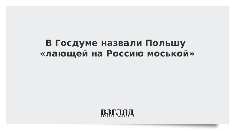 В Госдуме назвали Польшу «лающей на Россию моськой»