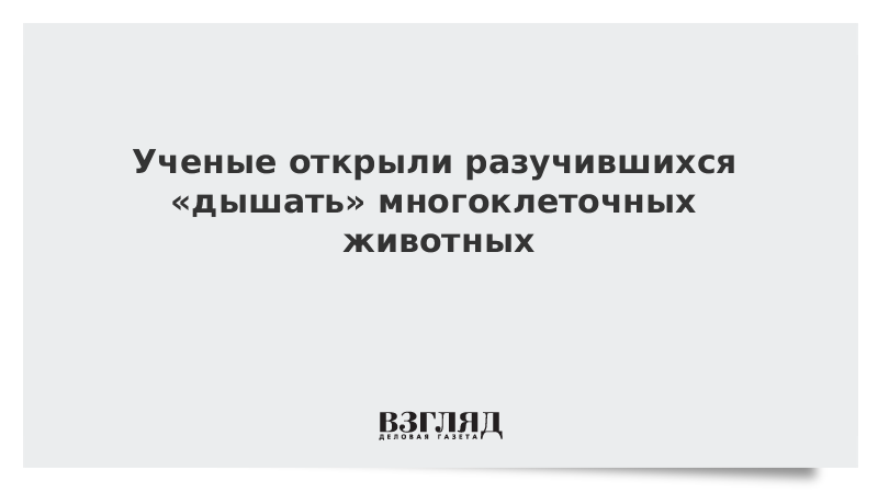 Ученые открыли разучившихся «дышать» многоклеточных животных