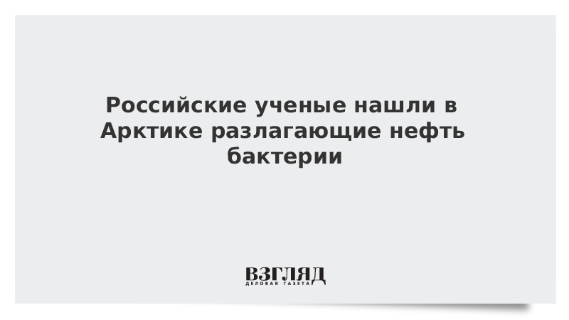 Российские ученые нашли в Арктике разлагающие нефть бактерии