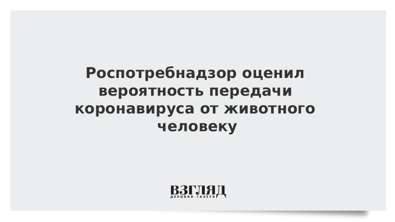 Роспотребнадзор оценил вероятность передачи коронавируса от животного человеку